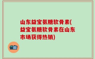 山东益宝氨糖软骨素(益宝氨糖软骨素在山东市场获得热销)