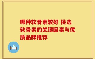 哪种软骨素较好 挑选软骨素的关键因素与优质品牌推荐
