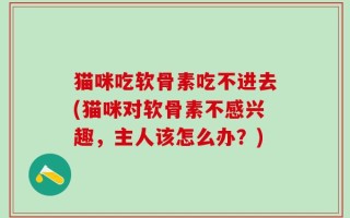 猫咪吃软骨素吃不进去(猫咪对软骨素不感兴趣，主人该怎么办？)