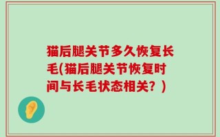 猫后腿关节多久恢复长毛(猫后腿关节恢复时间与长毛状态相关？)