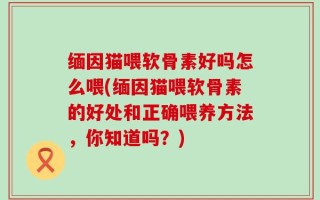 缅因猫喂软骨素好吗怎么喂(缅因猫喂软骨素的好处和正确喂养方法，你知道吗？)