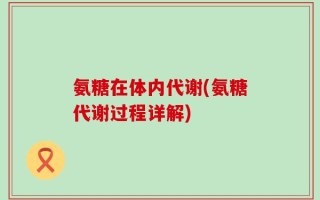 氨糖在体内代谢(氨糖代谢过程详解)