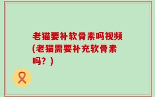 老猫要补软骨素吗视频(老猫需要补充软骨素吗？)