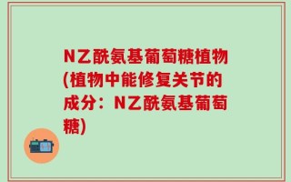 N乙酰氨基葡萄糖植物(植物中能修复关节的成分：N乙酰氨基葡萄糖)