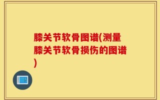 膝关节软骨图谱(测量膝关节软骨损伤的图谱)