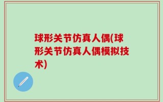 球形关节仿真人偶(球形关节仿真人偶模拟技术)