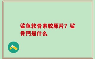 鲨鱼软骨素胶原片？鲨骨钙是什么