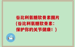 谷比利氨糖软骨素图片(谷比利氨糖软骨素：保护你的关节健康！)