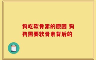 狗吃软骨素的原因 狗狗需要软骨素背后的