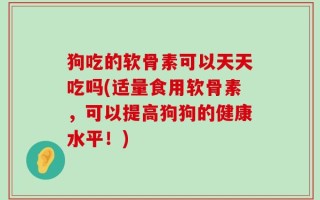 狗吃的软骨素可以天天吃吗(适量食用软骨素，可以提高狗狗的健康水平！)