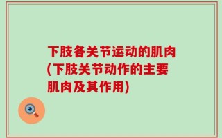 下肢各关节运动的肌肉(下肢关节动作的主要肌肉及其作用)