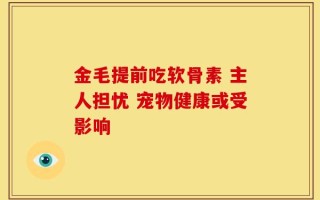 金毛提前吃软骨素 主人担忧 宠物健康或受影响
