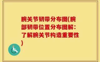 腕关节韧带分布图(腕部韧带位置分布图解：了解腕关节构造重要性)