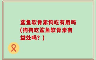 鲨鱼软骨素狗吃有用吗(狗狗吃鲨鱼软骨素有益处吗？)