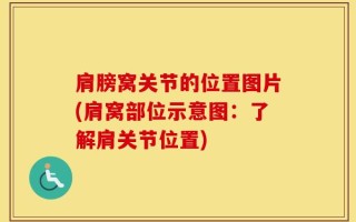 肩膀窝关节的位置图片(肩窝部位示意图：了解肩关节位置)