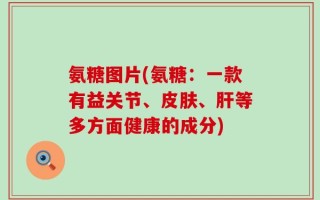 氨糖图片(氨糖：一款有益关节、皮肤、肝等多方面健康的成分)