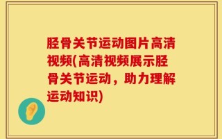 胫骨关节运动图片高清视频(高清视频展示胫骨关节运动，助力理解运动知识)