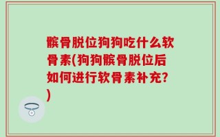 髌骨脱位狗狗吃什么软骨素(狗狗髌骨脱位后如何进行软骨素补充？)