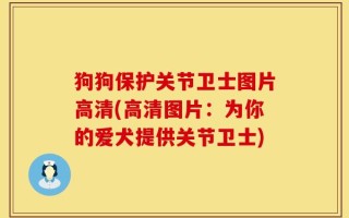 狗狗保护关节卫士图片高清(高清图片：为你的爱犬提供关节卫士)