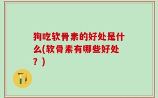 狗吃软骨素的好处是什么(软骨素有哪些好处？)
