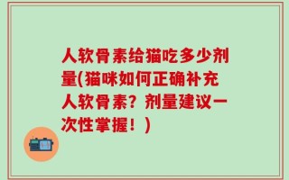 人软骨素给猫吃多少剂量(猫咪如何正确补充人软骨素？剂量建议一次性掌握！)