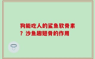 狗能吃人的鲨鱼软骨素？沙鱼趣翅骨的作用