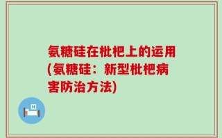 氨糖硅在枇杷上的运用(氨糖硅：新型枇杷病害防治方法)