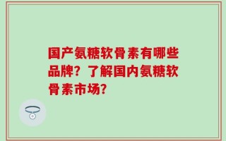 国产氨糖软骨素有哪些品牌？了解国内氨糖软骨素市场？