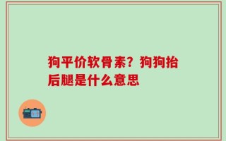 狗平价软骨素？狗狗抬后腿是什么意思