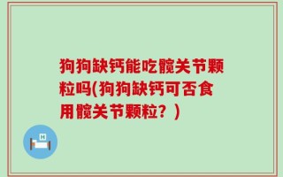 狗狗缺钙能吃髋关节颗粒吗(狗狗缺钙可否食用髋关节颗粒？)