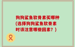 狗狗鲨鱼软骨素买哪种(选择狗狗鲨鱼软骨素时该注意哪些因素？)
