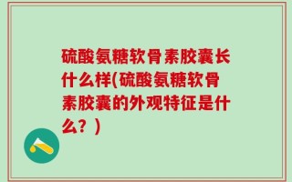 硫酸氨糖软骨素胶囊长什么样(硫酸氨糖软骨素胶囊的外观特征是什么？)