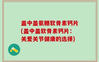 盖中盖氨糖软骨素钙片(盖中盖软骨素钙片：关爱关节健康的选择)