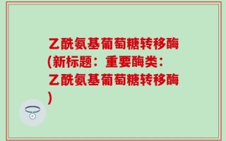 乙酰氨基葡萄糖转移酶(新标题：重要酶类：乙酰氨基葡萄糖转移酶)