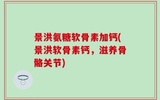 景洪氨糖软骨素加钙(景洪软骨素钙，滋养骨骼关节)