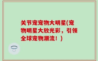 关节宠宠物大明星(宠物明星大放光彩，引领全球宠物潮流！)