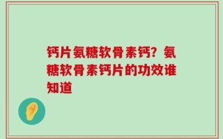 钙片氨糖软骨素钙？氨糖软骨素钙片的功效谁知道