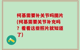 柯基需要补关节吗图片(柯基需要关节补充吗？看看这些照片就知道了)