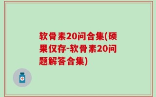 软骨素20问合集(硕果仅存-软骨素20问题解答合集)