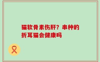 猫软骨素伤肝？串种的折耳猫会健康吗