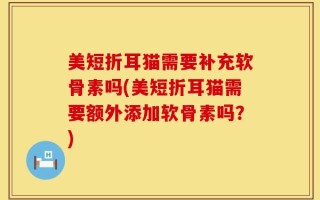 美短折耳猫需要补充软骨素吗(美短折耳猫需要额外添加软骨素吗？)