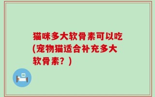 猫咪多大软骨素可以吃(宠物猫适合补充多大软骨素？)