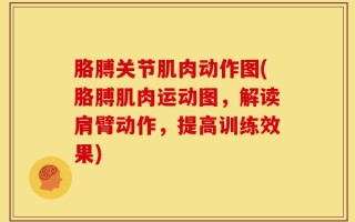 胳膊关节肌肉动作图(胳膊肌肉运动图，解读肩臂动作，提高训练效果)