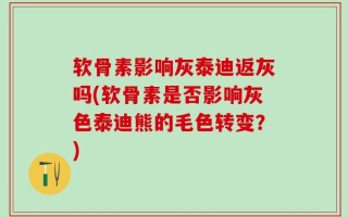 软骨素影响灰泰迪返灰吗(软骨素是否影响灰色泰迪熊的毛色转变？)