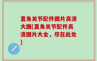 直角关节配件图片高清大图(直角关节配件高清图片大全，尽在此处)