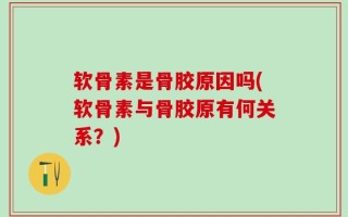 软骨素是骨胶原因吗(软骨素与骨胶原有何关系？)