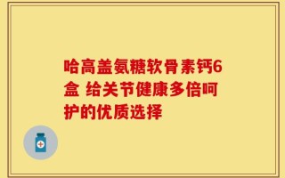 哈高盖氨糖软骨素钙6盒 给关节健康多倍呵护的优质选择