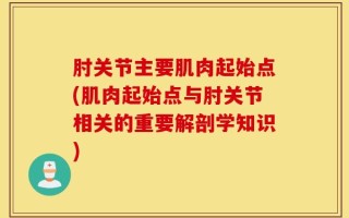 肘关节主要肌肉起始点(肌肉起始点与肘关节相关的重要解剖学知识)