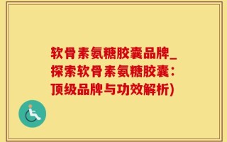 软骨素氨糖胶囊品牌_探索软骨素氨糖胶囊：顶级品牌与功效解析)