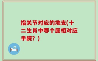 指关节对应的地支(十二生肖中哪个属相对应手腕？)